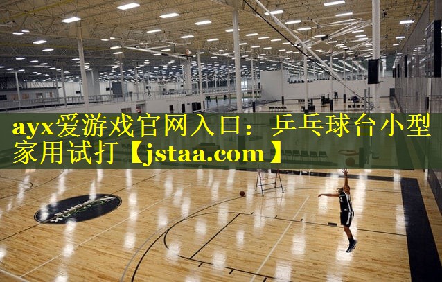 <strong>ayx爱游戏官网入口：乒乓球台小型家用试打</strong>