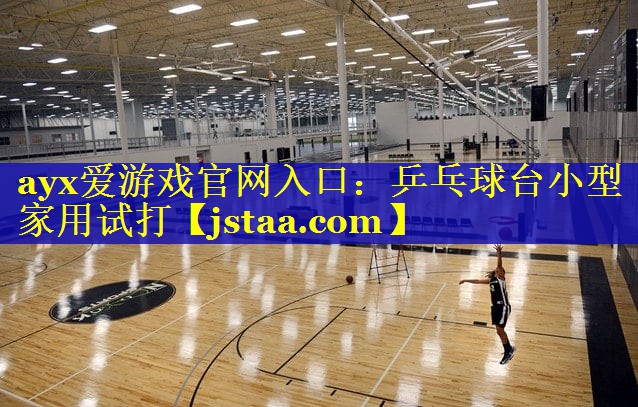 乒乓球台小型家用试打 乒乓球台小型家用试打