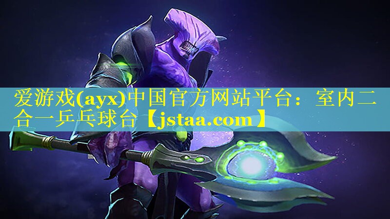 室内二合一乒乓球台 室内二合一乒乓球台